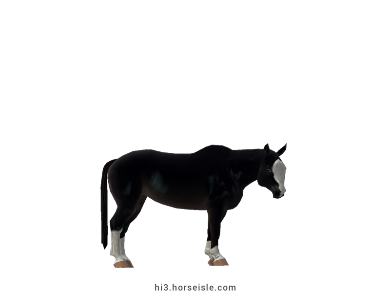 Cow-pony Omby Mealy Raven Black Coat